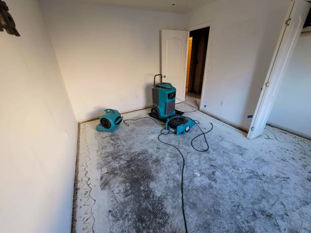 Best Professional water damage repair  in Oxford, MS