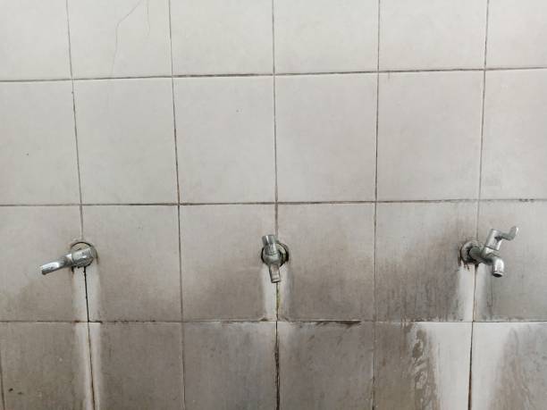 Best 24/7 water damage repair  in Oxford, MS