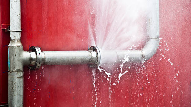Best Water damage restoration company  in Oxford, MS